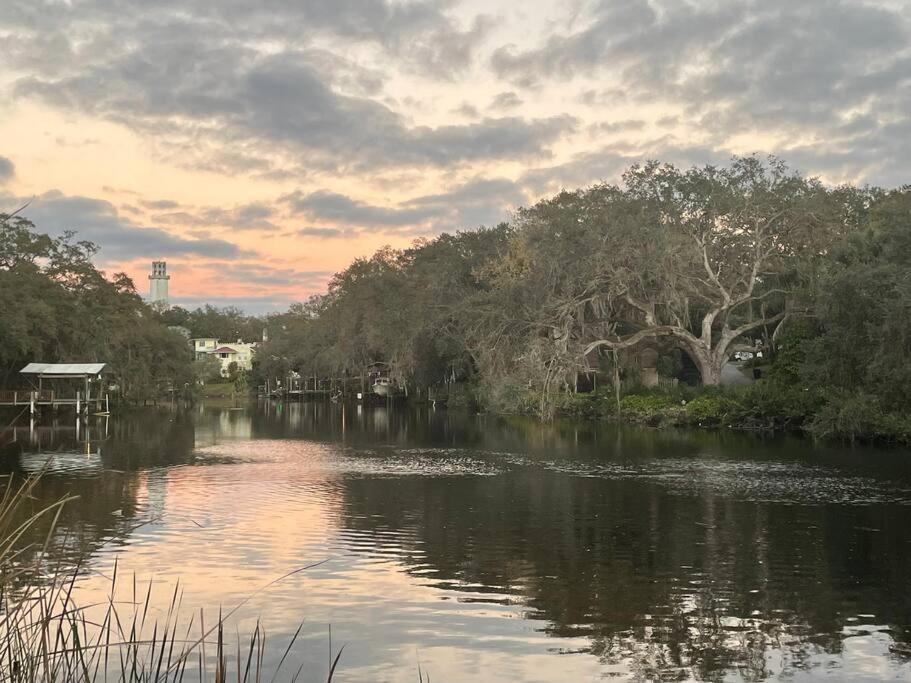 Villa Reel Relaxing Across From River In Huge 24 Foot Swim Spa à Tampa Extérieur photo